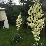 U Beaty مزرعة للإقامة *